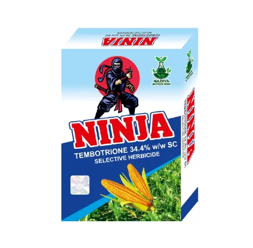 Ninja