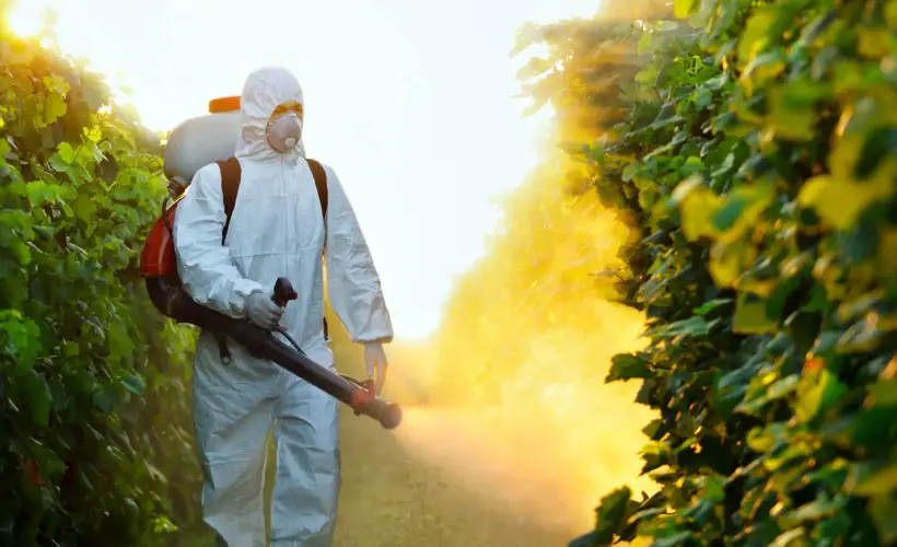 About Nadia Biotech India